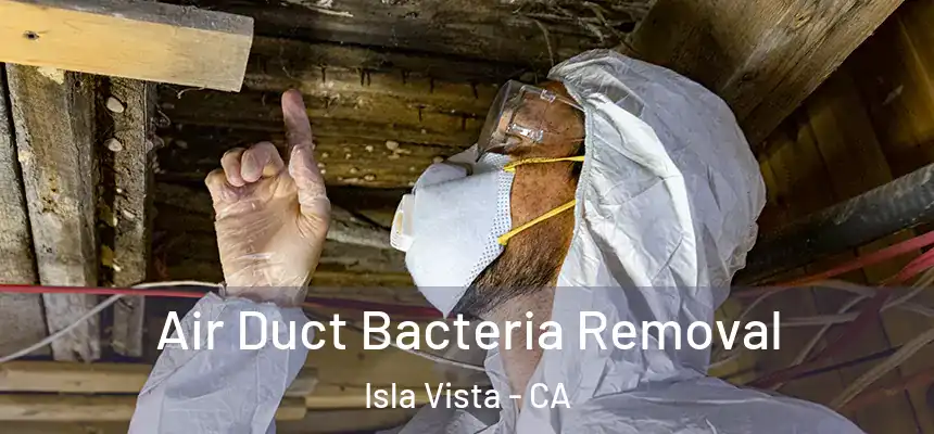  Air Duct Bacteria Removal Isla Vista - CA