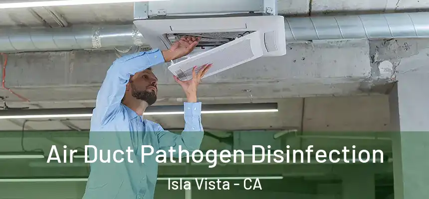  Air Duct Pathogen Disinfection Isla Vista - CA