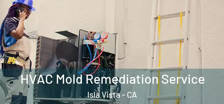 HVAC Mold Remediation Service Isla Vista - CA