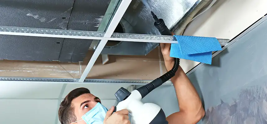 Our Air Duct Rodent Removal Services in Isla Vista, CA