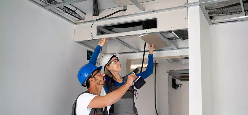 Our Air Duct Virus Disinfection Services in Isla Vista, CA