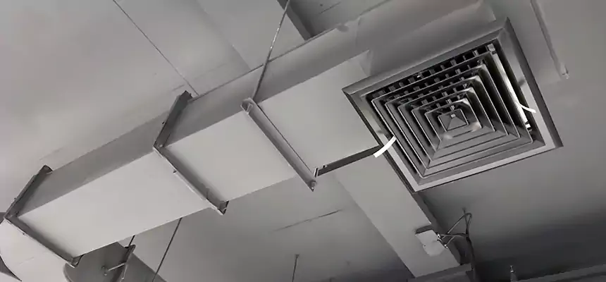 Restorative Allergy Relief Vent Cleaning – Coil, Blower & Housing Detail in Isla Vista