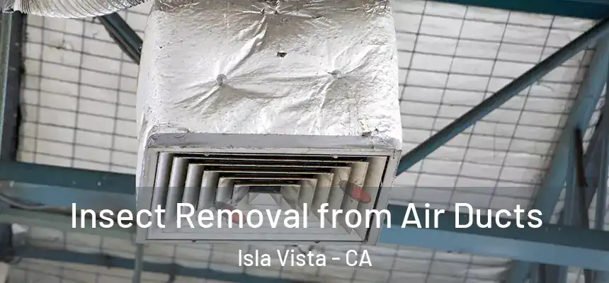  Insect Removal from Air Ducts Isla Vista - CA