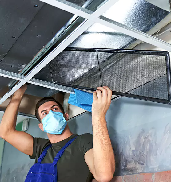 Professional Air Duct Pollen Cleaning in Isla Vista, CA