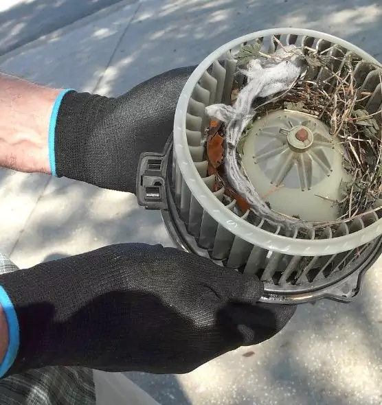 About Air Duct Rat Removal in Isla Vista, CA