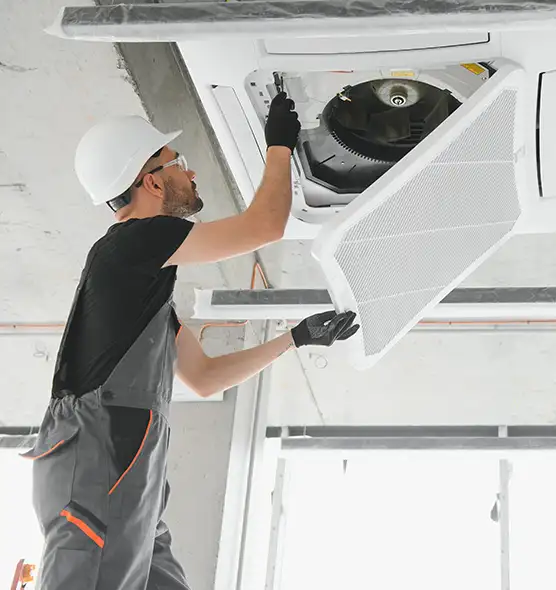 About Air Duct Rodent Removal in Isla Vista, CA