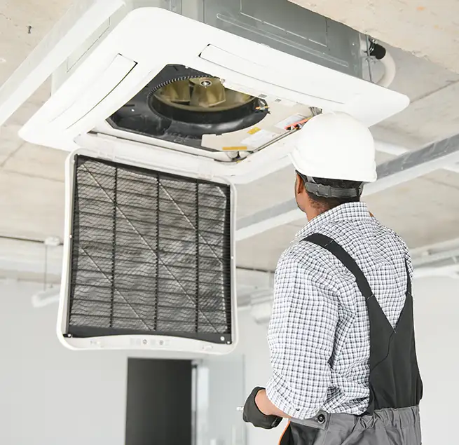 Why Homeowners & Businesses Trust Us in Isla Vista, CA?