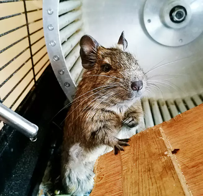 Why Homeowners & Businesses Trust Us Isla Vista, CA