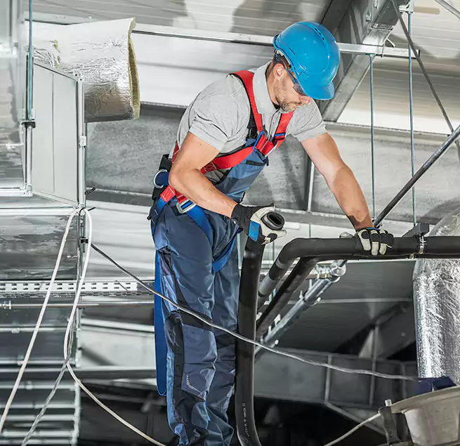 Why Homeowners & Businesses Trust Us in Isla Vista, CA?