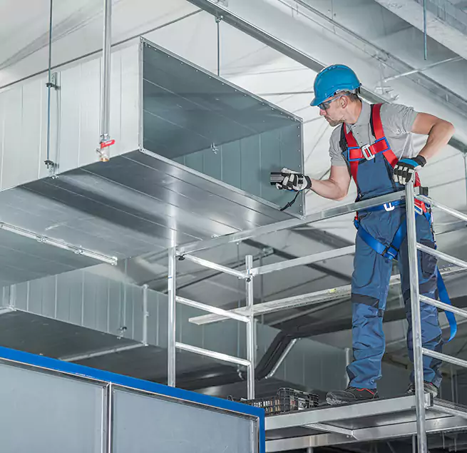 Why Homeowners & Businesses Trust Us in Isla Vista, CA?