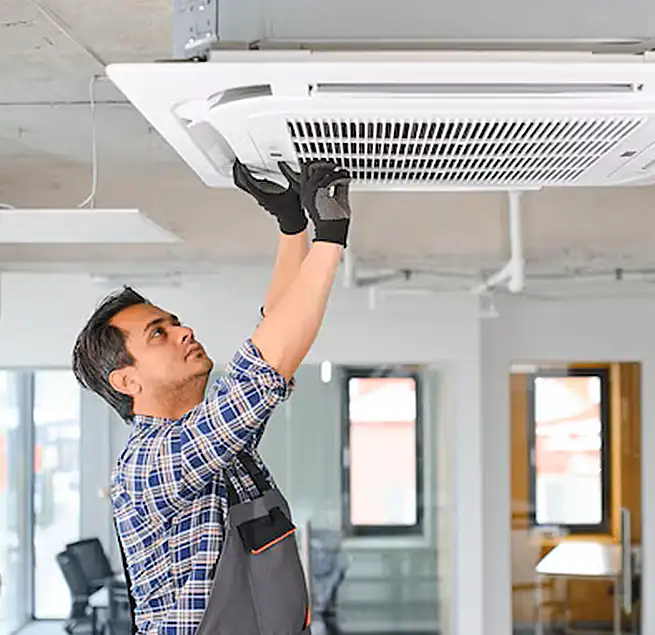 Why Homeowners & Businesses Trust Us in Isla Vista, CA?