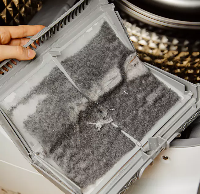 Why Homeowners & Businesses Trust Us Isla Vista, CA?