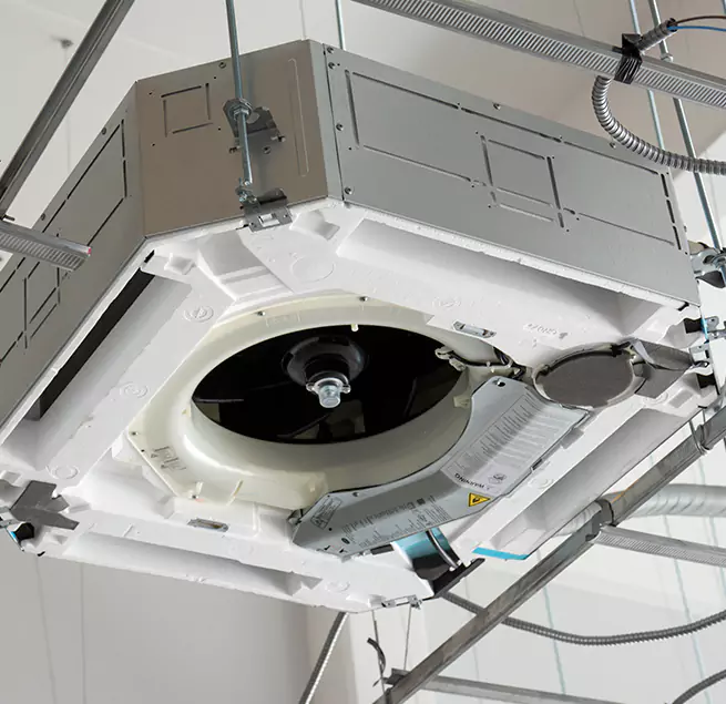 Why Homeowners & Businesses Trust Us in Isla Vista, CA?