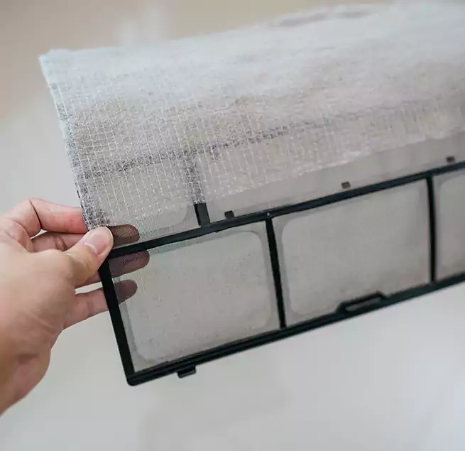 Why Homeowners & Businesses Trust Us in Isla Vista, CA?