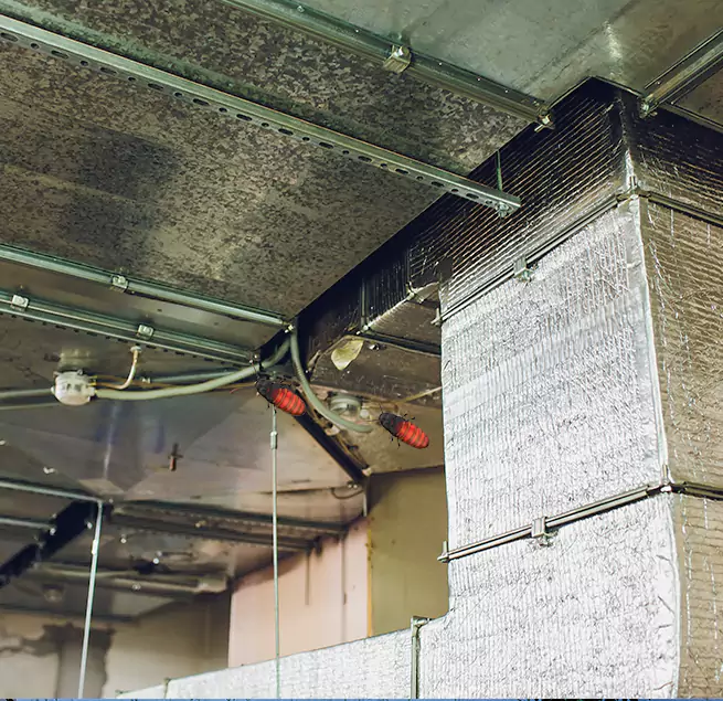 Why Homeowners & Businesses Trust Us Isla Vista, CA?