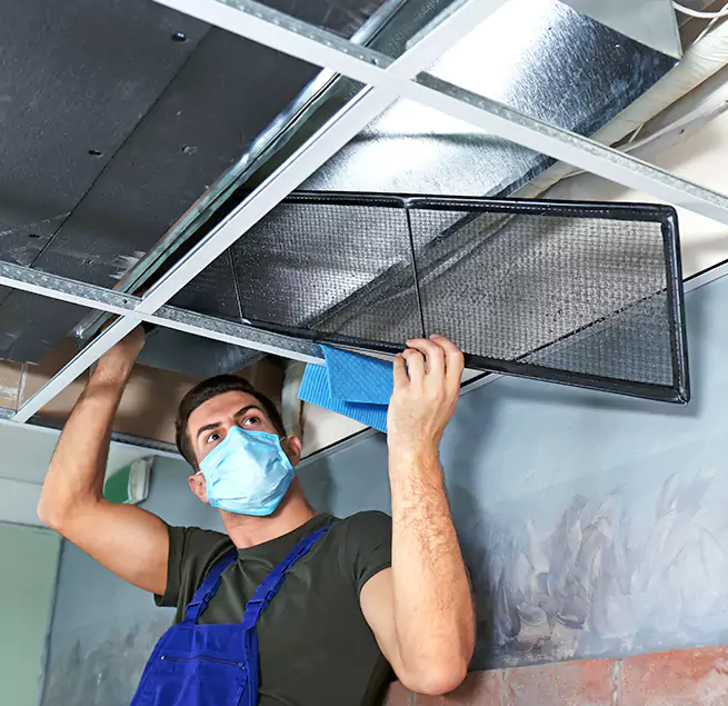 Why Homeowners & Businesses Trust Us in Isla Vista, CA?